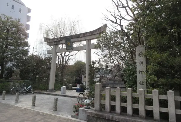 清明神社の写真・動画_image_935127