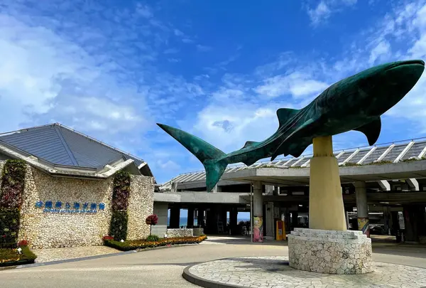沖縄 水族館 北部の美ら海 南部のかりゆしを比較してみました 周辺グルメ情報あり Holiday ホリデー