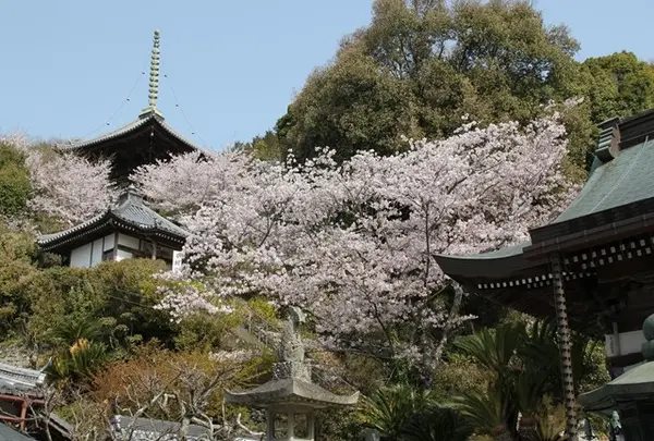 10番札所　切幡寺