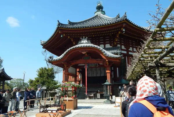 興福寺 南円堂（西国９番）の写真・動画_image_564638
