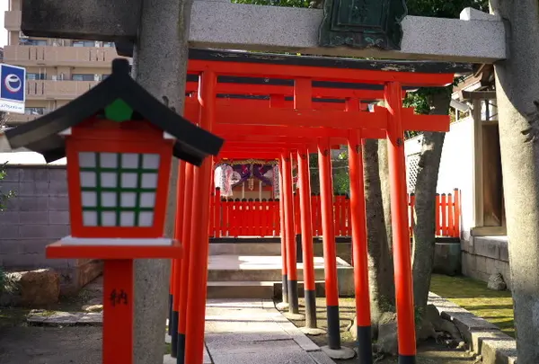 八宮神社の写真・動画_image_164835