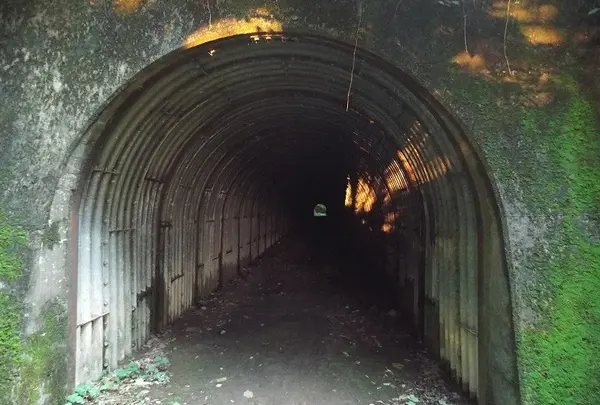 太白山トンネルの写真・動画_image_44112
