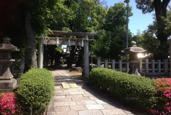 綾戸國中神社の写真・動画_image_136386