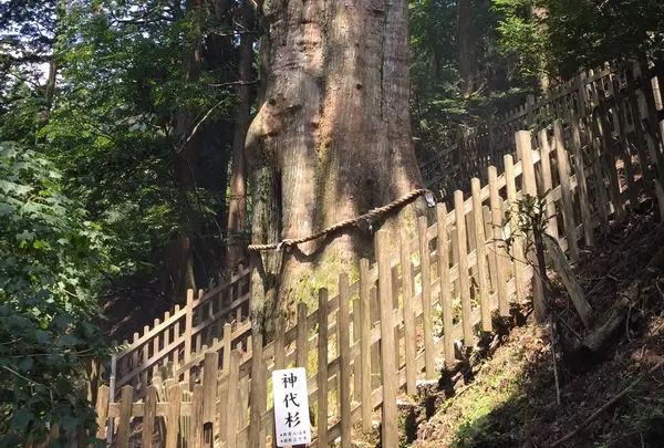 玉置神社の写真・動画_image_39313
