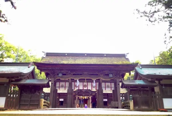 大山祇神社の写真・動画_image_156295