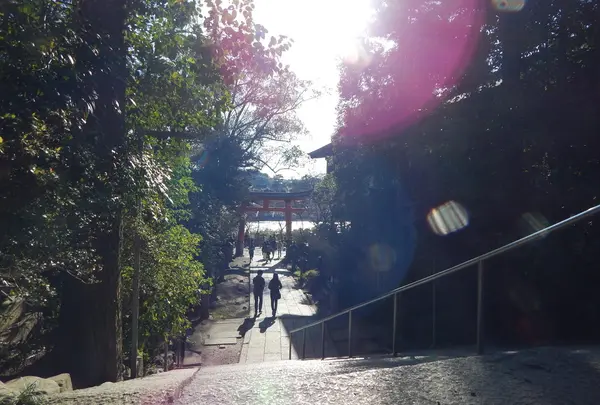 宇治神社の写真・動画_image_122254