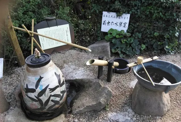 桃井ミュージアムの写真・動画_image_280255