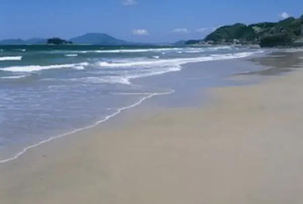 姉子の浜（鳴き砂）の写真・動画_image_143596