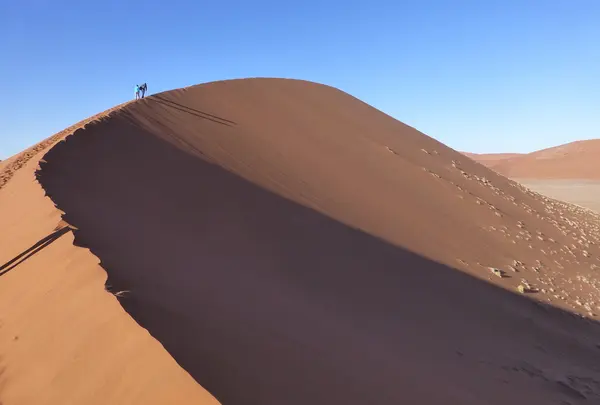 世界一美しい砂漠　ナミブ砂漠