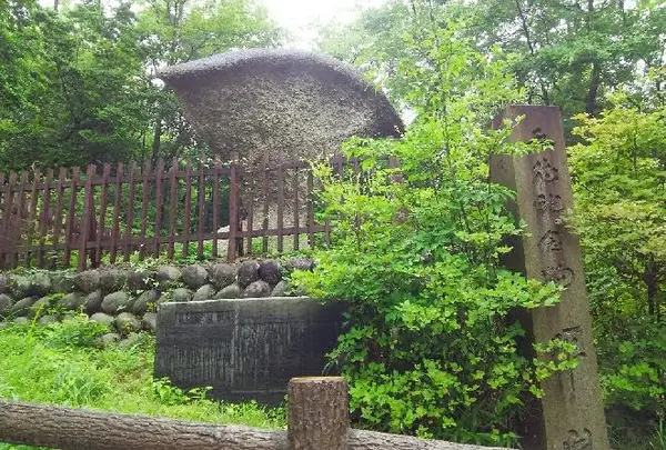 国指定天然記念物「傘岩」