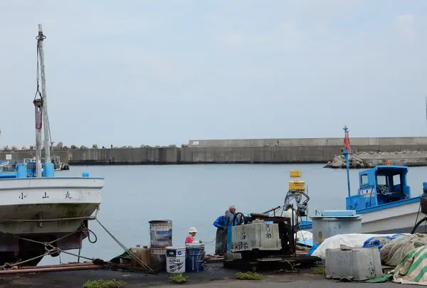 磯崎漁港の写真・動画_image_148763