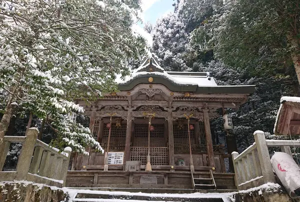知井八幡神社の写真・動画_image_1499655