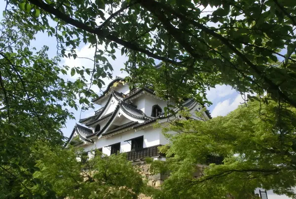彦根城の写真・動画_image_177824
