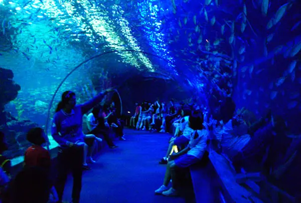 アクアワールド茨城県大洗水族館