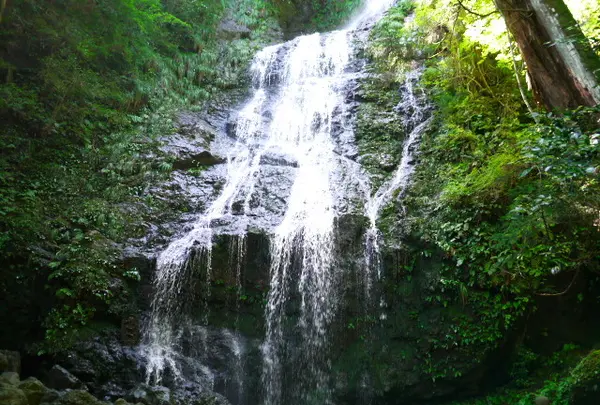 飛龍の滝の写真・動画_image_142033