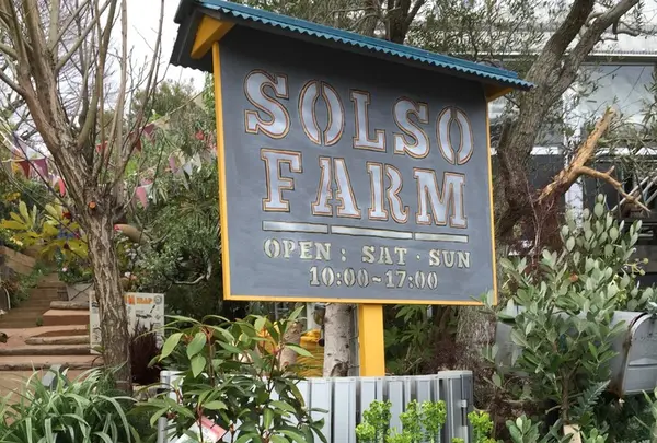 Solso Farmの写真・動画_image_136398