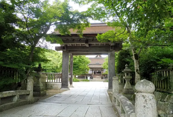 中山神社の写真・動画_image_244835