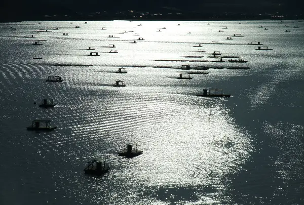 ウチノ海の筏
