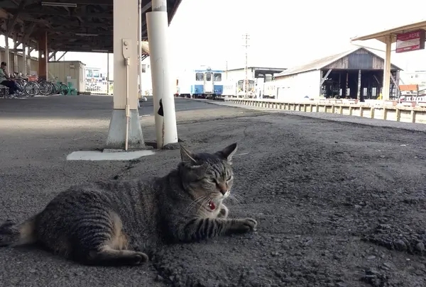 那珂湊駅の写真・動画_image_148766