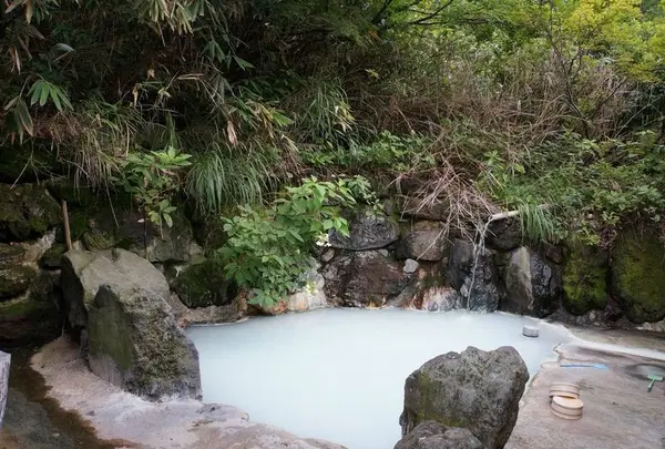 鶴の湯温泉の写真・動画_image_10402