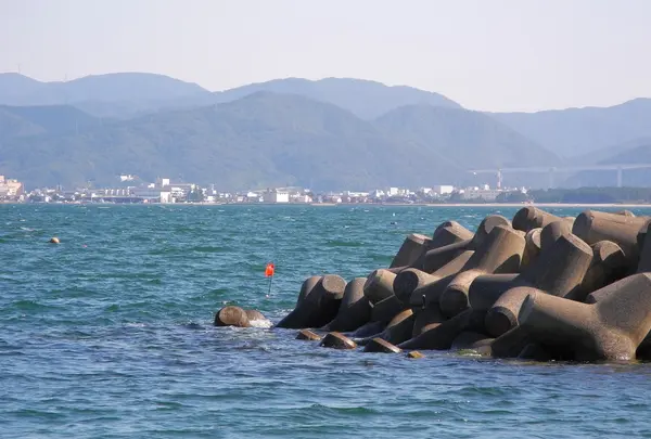 敦賀湾海岸の写真・動画_image_10827