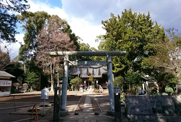 来宮神社の写真・動画_image_117463