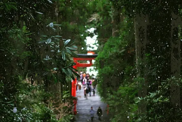 箱根神社の写真・動画_image_127245
