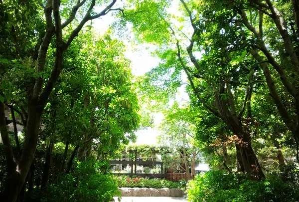 西宮市北山緑化植物園の写真・動画_image_133685