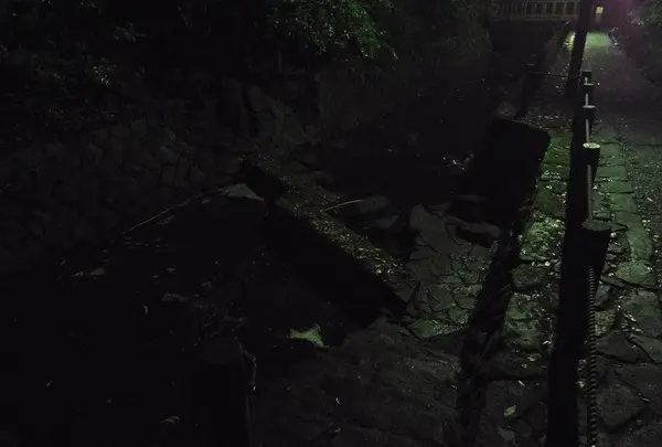 沈下橋