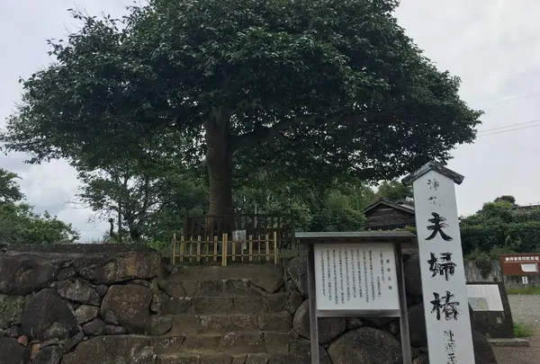 八重垣神社の写真・動画_image_146877