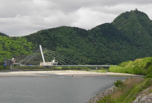 長良川の写真・動画_image_15381