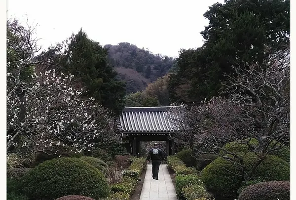 浄妙寺の写真・動画_image_183185