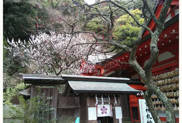 荏柄天神社の写真・動画_image_183187