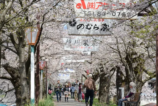 4月中旬は「弁天桜まつり」