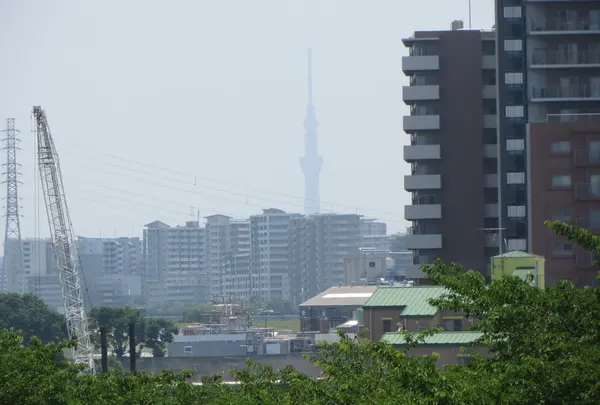 岩渕水門の写真・動画_image_1901