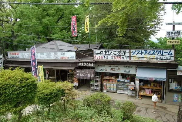 頂上でご飯