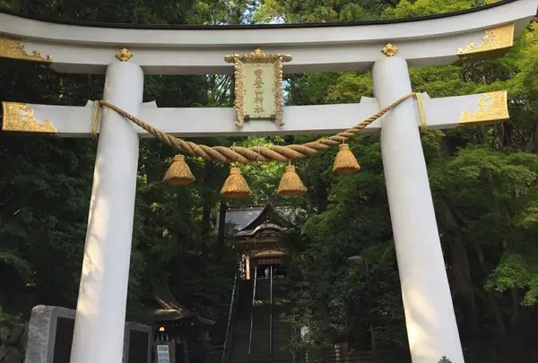 宝登山神社の写真・動画_image_225518