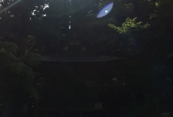 宝登山神社の写真・動画_image_225519