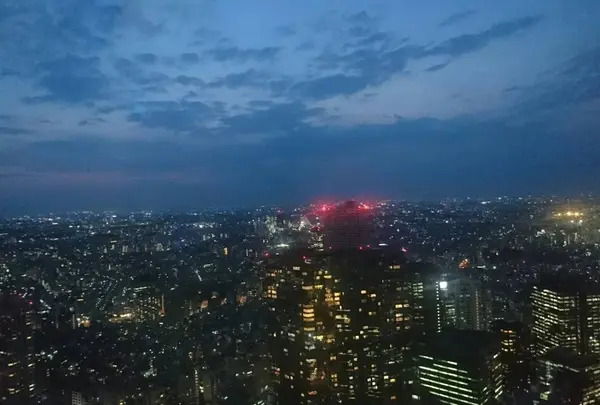 Good View Tokyo - グッドビュー東京の写真・動画_image_244903