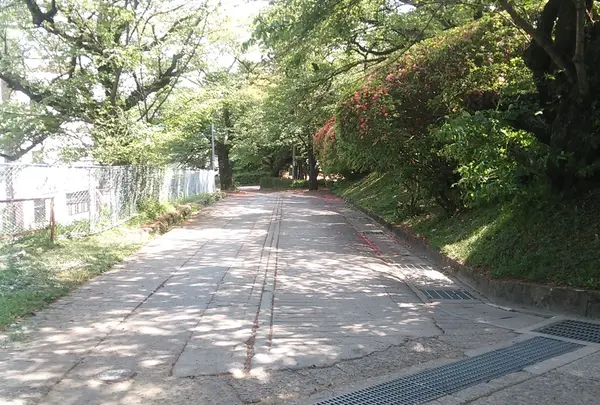 約200メートルを・・・ダッシュ！！