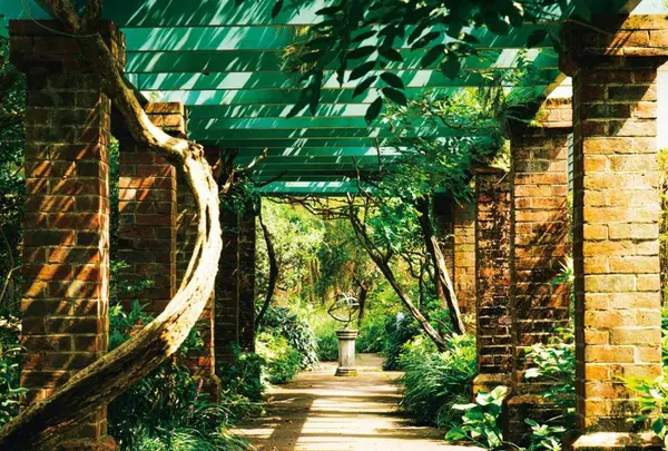 The British Garden/ 英国式庭園の写真・動画_image_341464