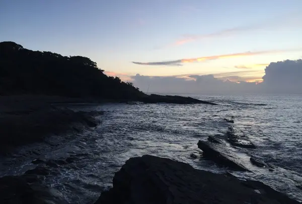 沖ノ島海水浴場の写真・動画_image_40024