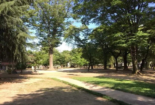 木々がたくさんある公園