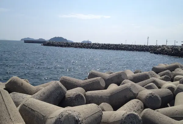 日間賀島の写真・動画_image_41563