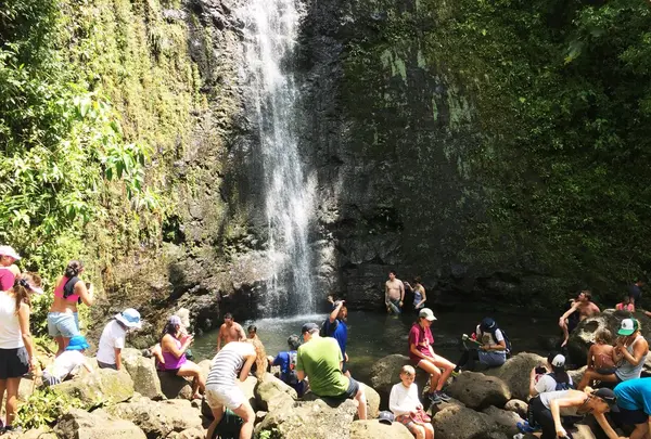 Manoa Fallsの写真・動画_image_42777