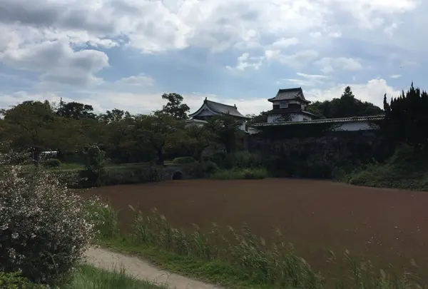 福岡城跡の写真・動画_image_45817