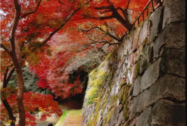 石垣の横の小路と紅葉…◎