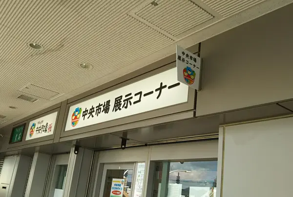 神戸市中央卸売市場本場の写真・動画_image_472627