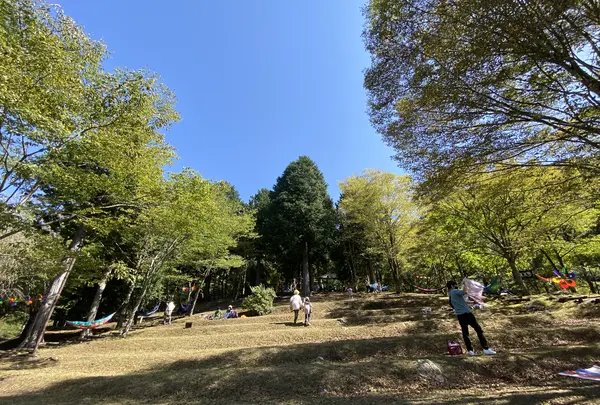 太郎川公園の写真・動画_image_474129