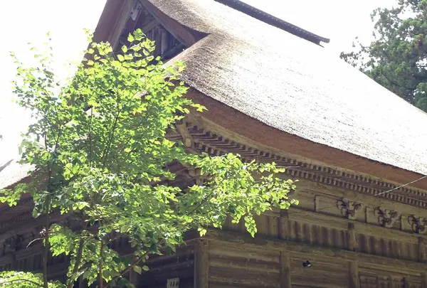 智満寺の写真・動画_image_48835
